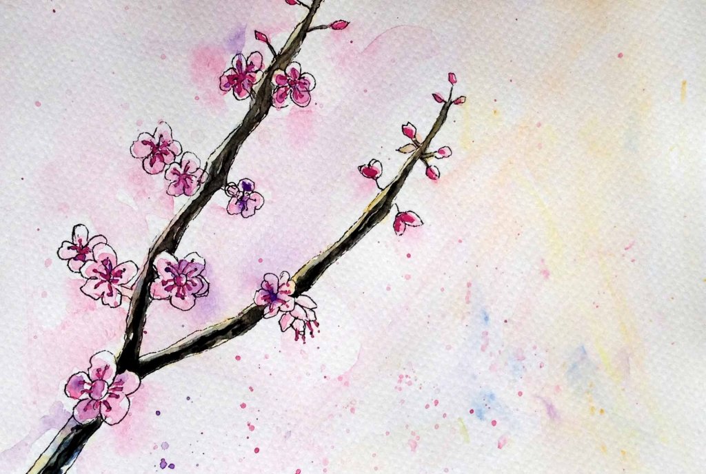 Cherry Blossoms Blush