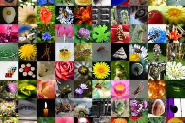 100 beautiful photos