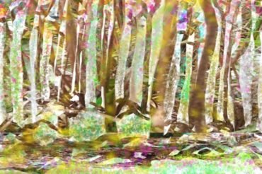 Harmony Card: A Gift for a Mother