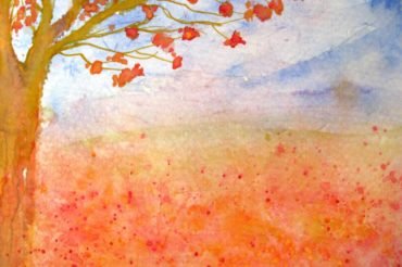 Medley of Red Orange