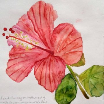 On Learning New Things