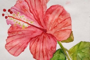 On Learning New Things