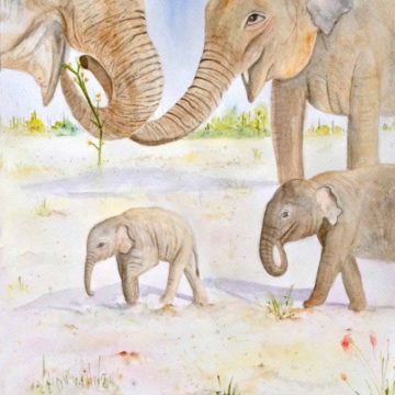 33: Elephant Family