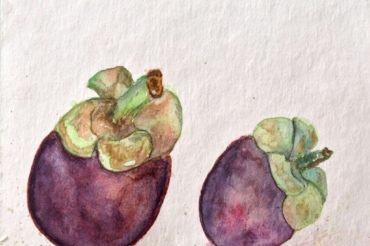 86: Mangosteen
