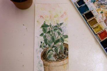 Cactus Line and Wash Video