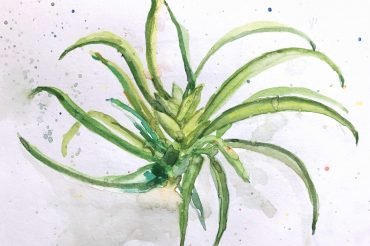 How to Build Good Habits that will Make Us Fruitful